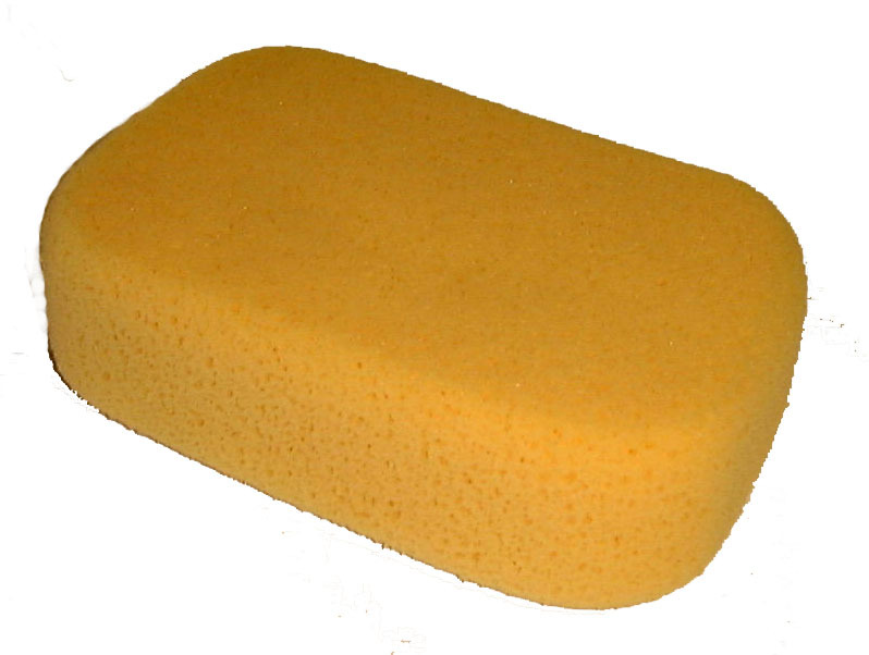 Sponges